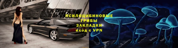 СК Алексин