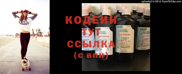 шишки Кодинск