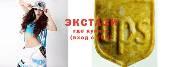 СК Алексин