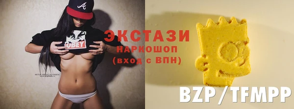 индика Козельск