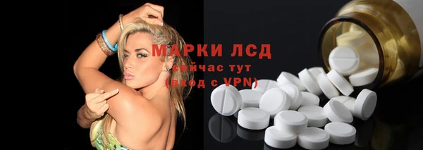 стаф Алзамай