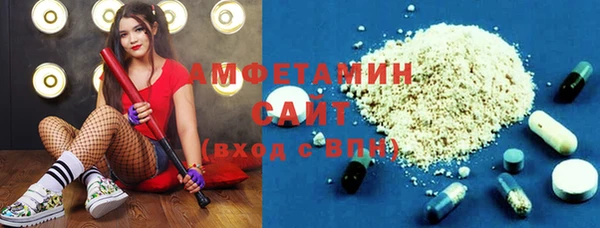 стаф Алзамай