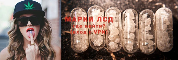 СК Алексин