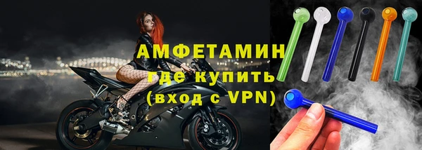 стаф Алзамай
