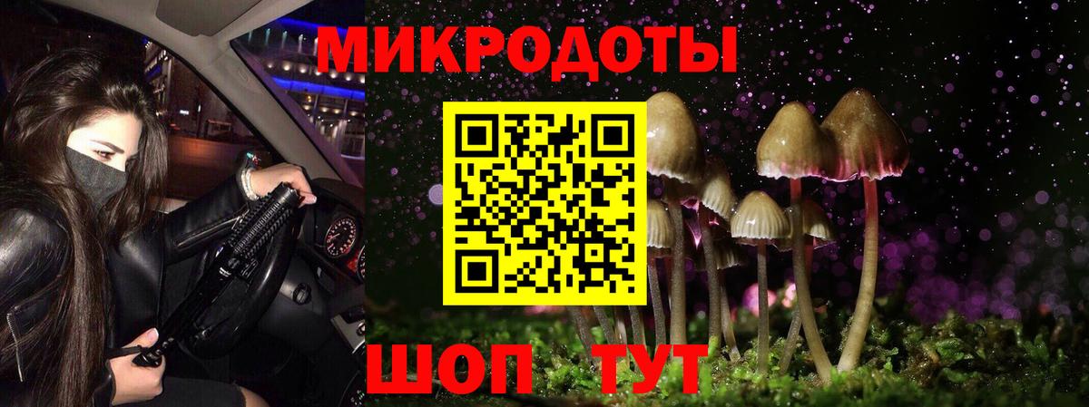 Псилоцибиновые грибы прущие грибы Уфа